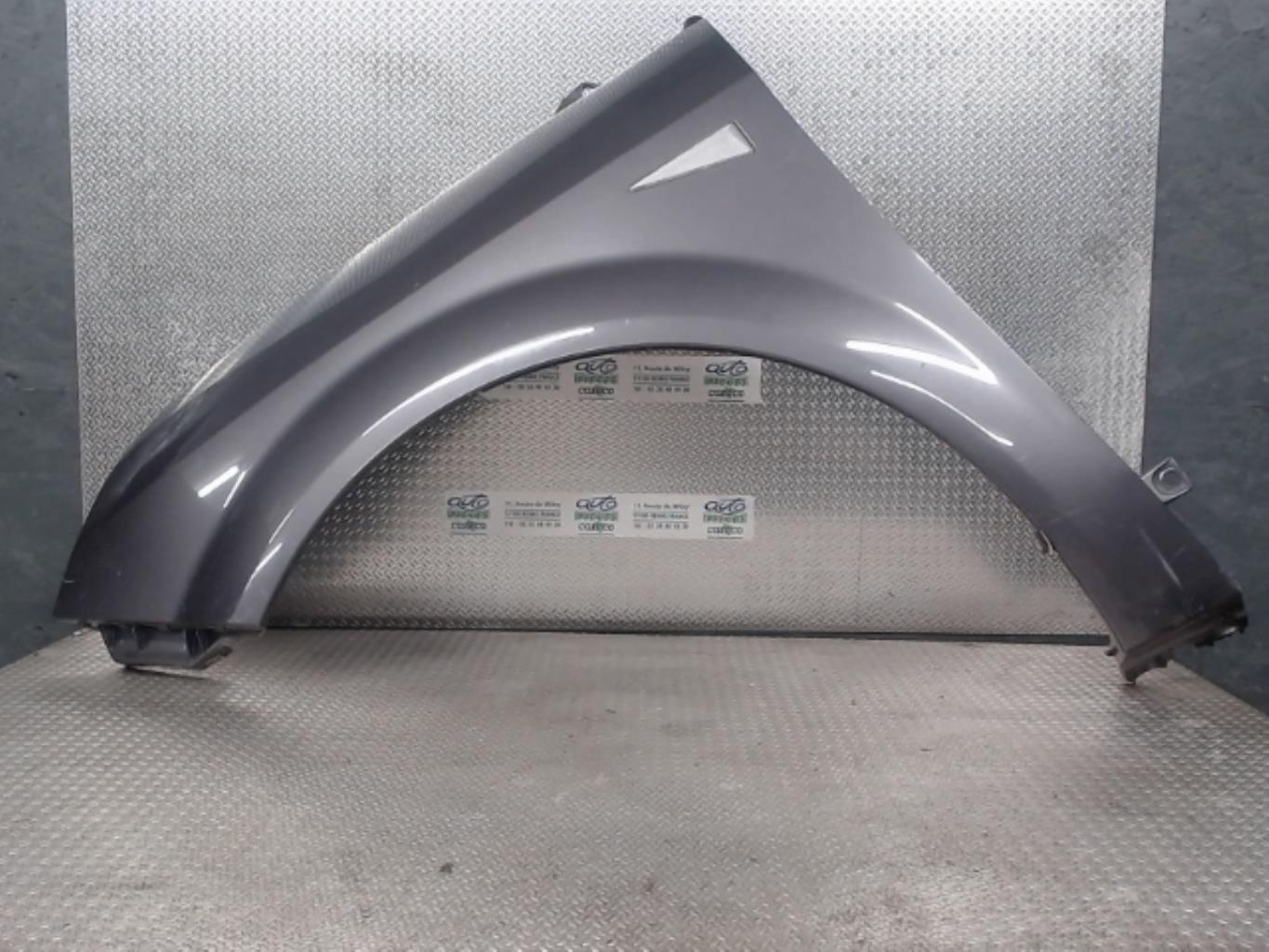 Aile avant gauche RENAULT SCENIC 2 PHASE 1 Diesel - 1