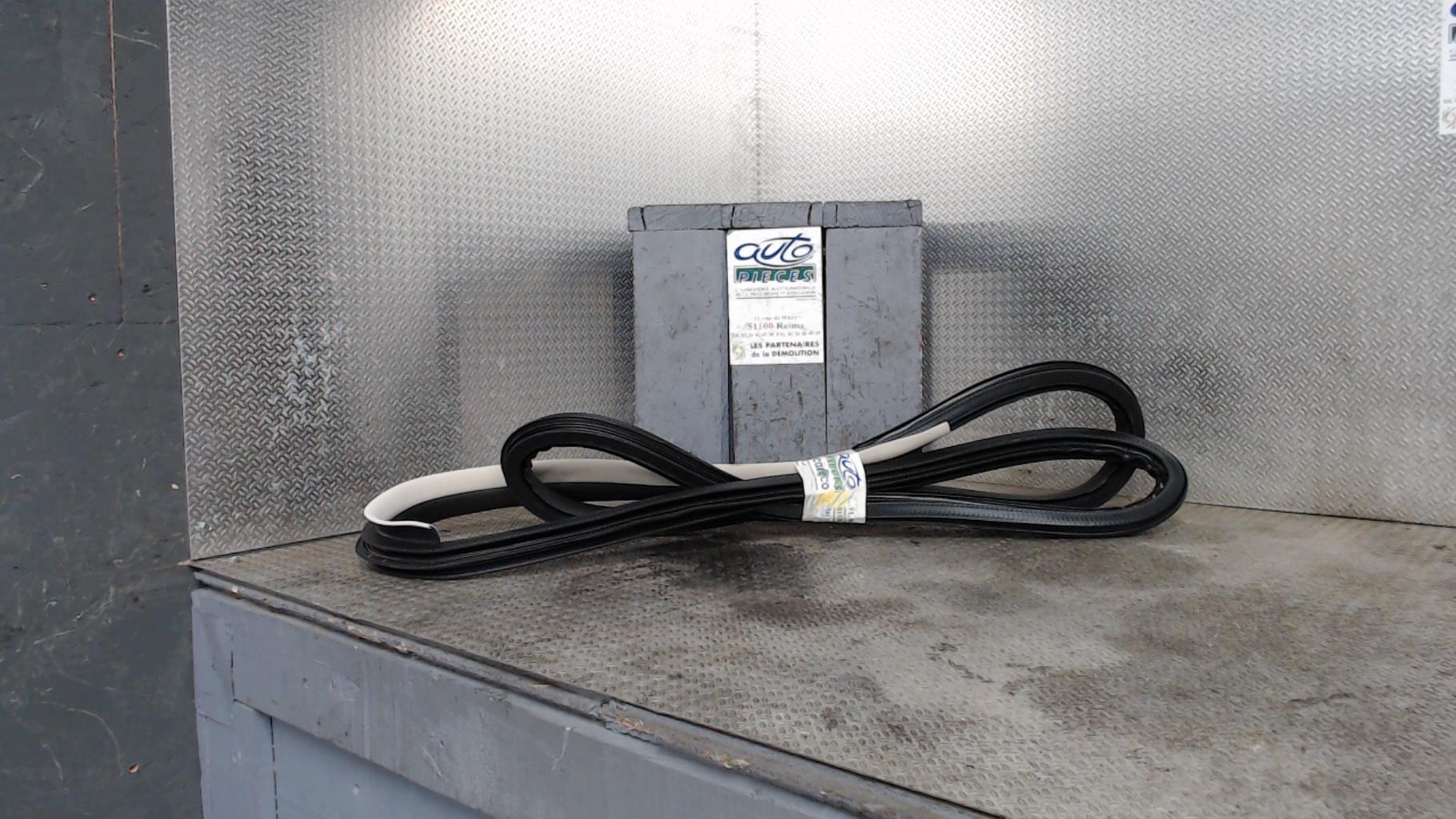Joint de porte arriere droite RENAULT TALISMAN Diesel - 1