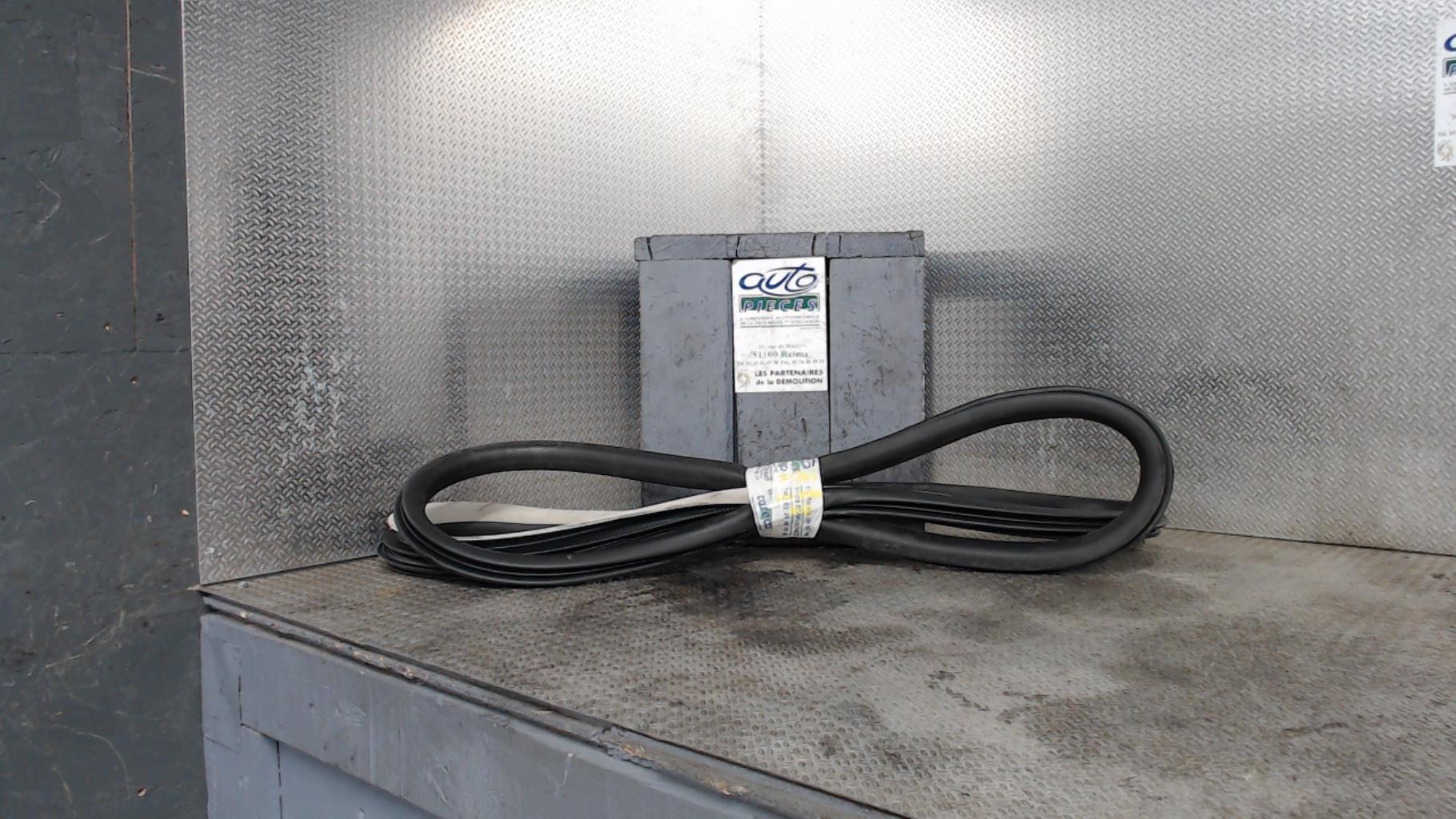Joint de porte avant gauche RENAULT TALISMAN Diesel - 1