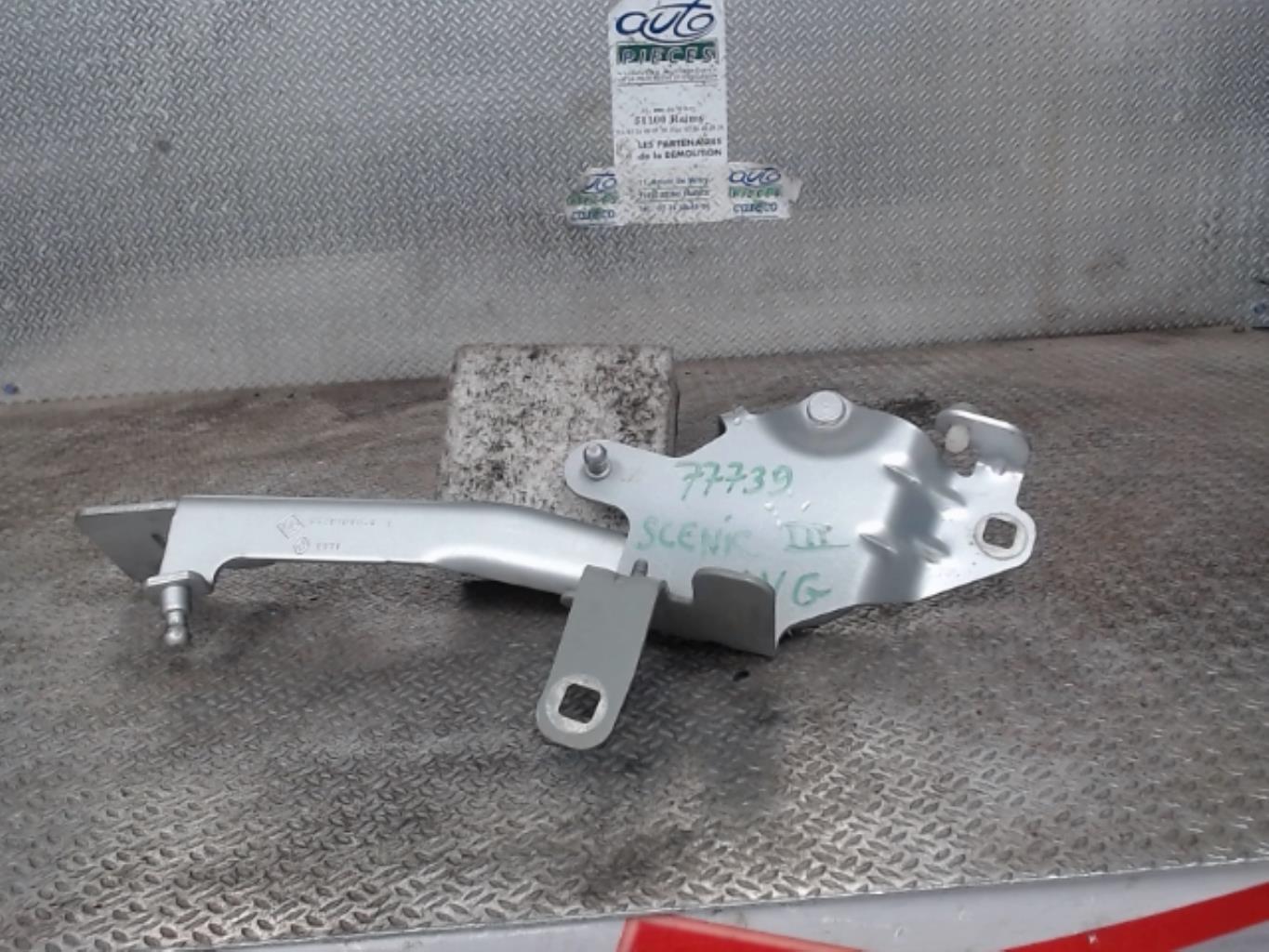 Charniere de capot RENAULT SCENIC 3 PHASE 1 Essence - 1