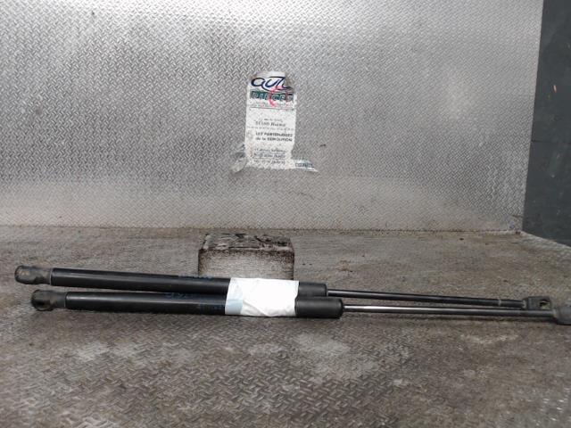Verin de coffre CITROEN DS4 PHASE 1 Diesel - 1
