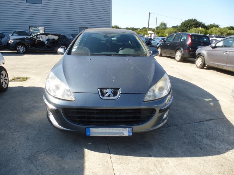 Image Porte arriere gauche - PEUGEOT 407