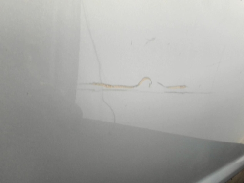 Image Porte avant droit - CITROEN C4 1