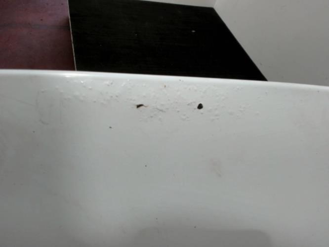 Image Capot - RENAULT TRAFIC 2