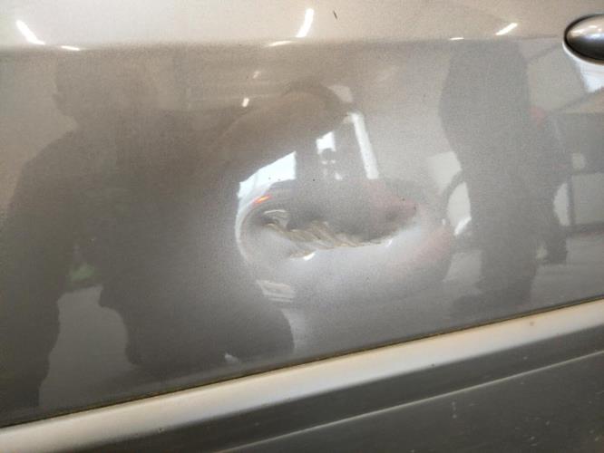 Image Porte avant gauche - RENAULT CLIO 3