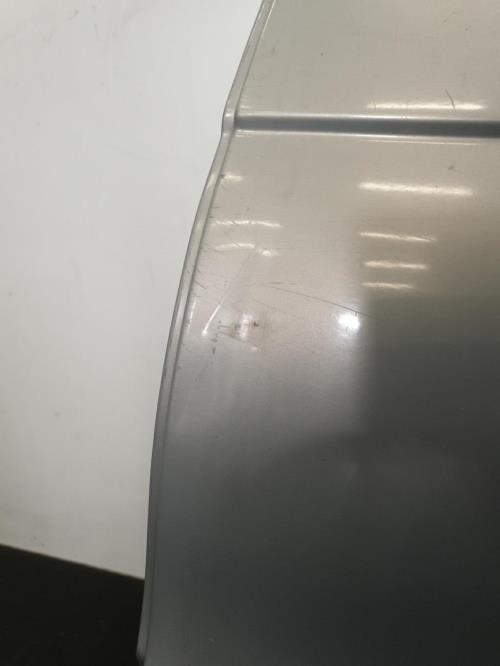 Image Porte arriere gauche - RENAULT SCENIC 1