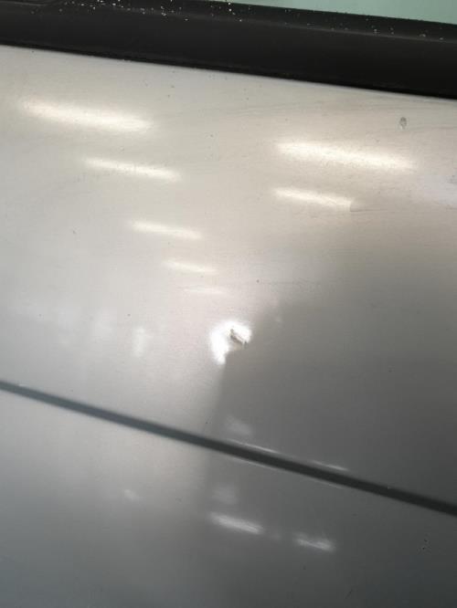 Image Porte arriere gauche - RENAULT SCENIC 1