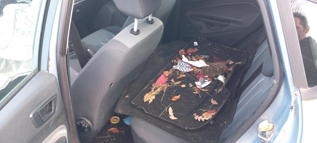 Image Moteur essuie glace avant - FORD FIESTA 6