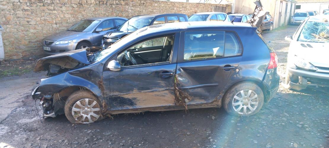 Image Porte arriere droit - VOLKSWAGEN GOLF 5