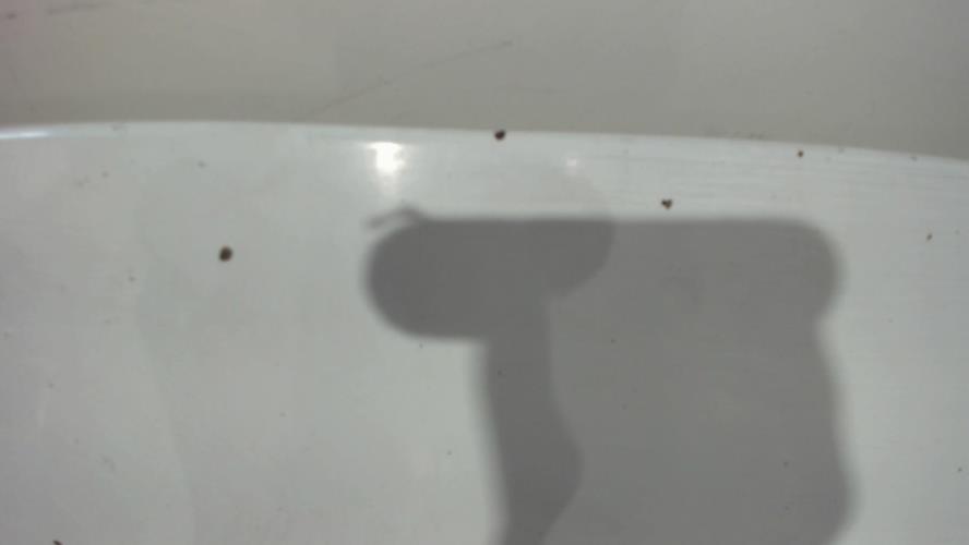 Image Capot - RENAULT TRAFIC 2