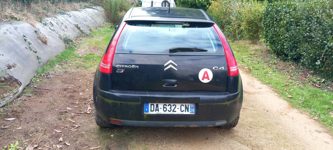 Image Porte arriere gauche - CITROEN C4 1