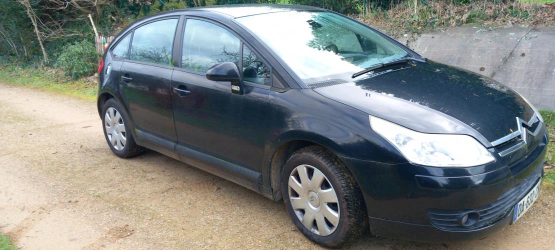 Image Porte arriere gauche - CITROEN C4 1
