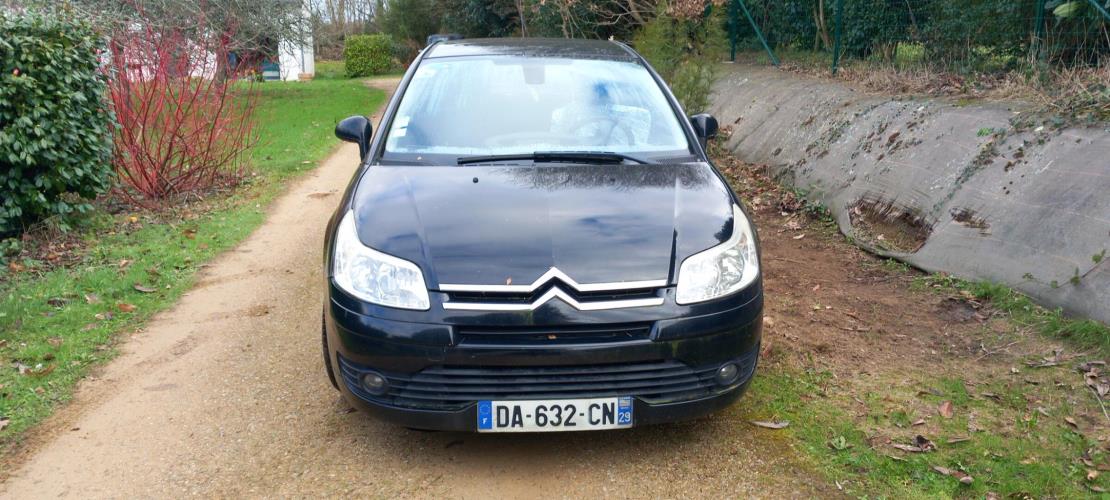 Image Porte arriere gauche - CITROEN C4 1