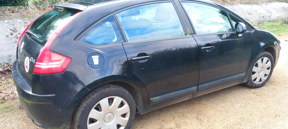 Image Porte arriere gauche - CITROEN C4 1