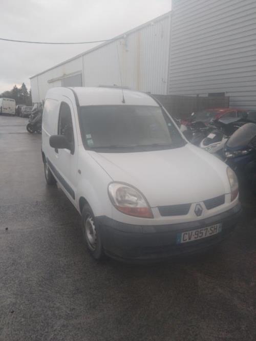 Image Porte de coffre gauche - RENAULT KANGOO 1