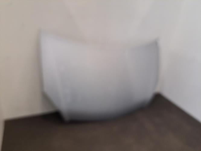 Image Capot - OPEL ZAFIRA B