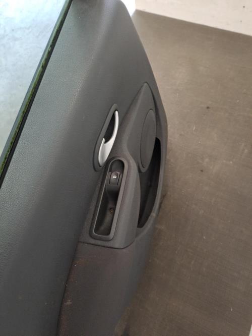Image Porte arriere gauche - RENAULT MODUS