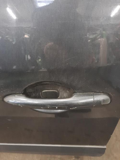 Image Porte avant gauche - RENAULT ESPACE 4