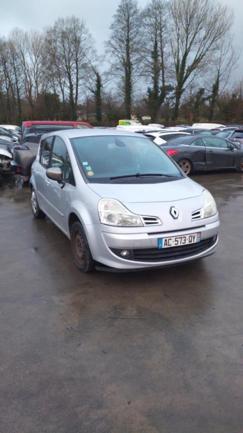 Image Porte arriere gauche - RENAULT GRAND MODUS