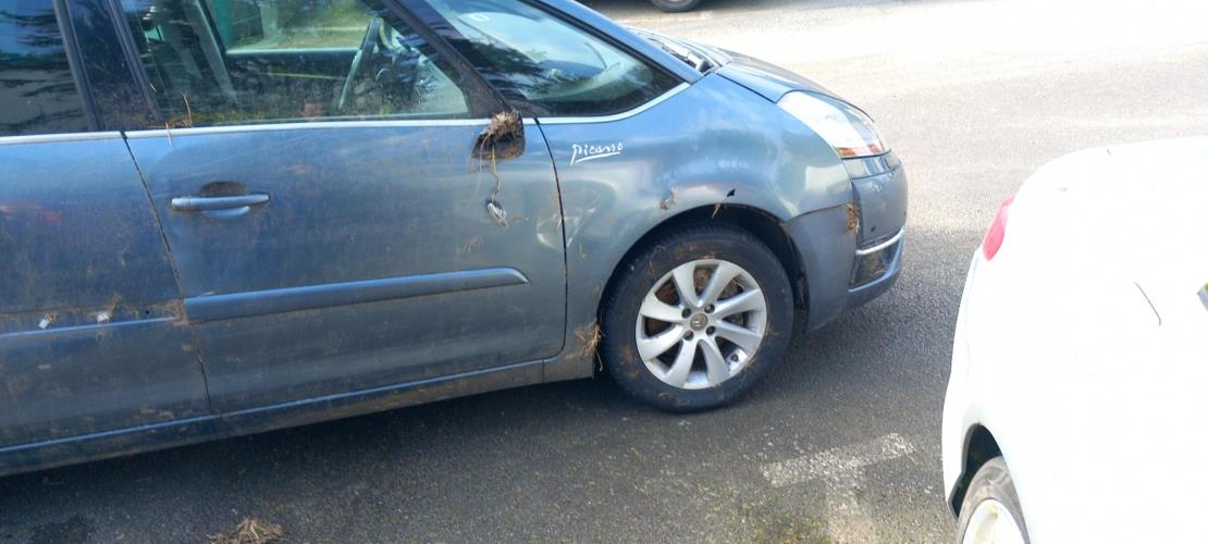 Image Capot - CITROEN C4 GRAND PICASSO 1