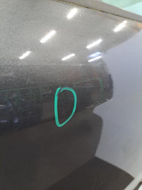 Image Porte arriere gauche - FIAT BRAVO 2