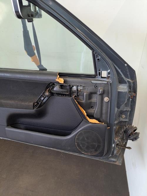 Image Porte avant gauche - VOLKSWAGEN GOLF