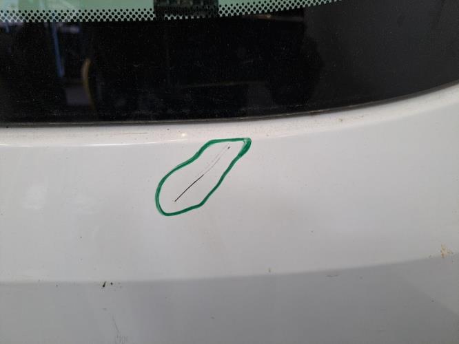 Image Malle/Hayon arriere - RENAULT GRAND MODUS