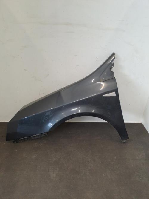 Image Aile avant gauche - RENAULT VEL SATIS