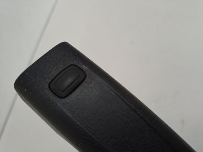 Image Poignee porte avant gauche - RENAULT MASTER III