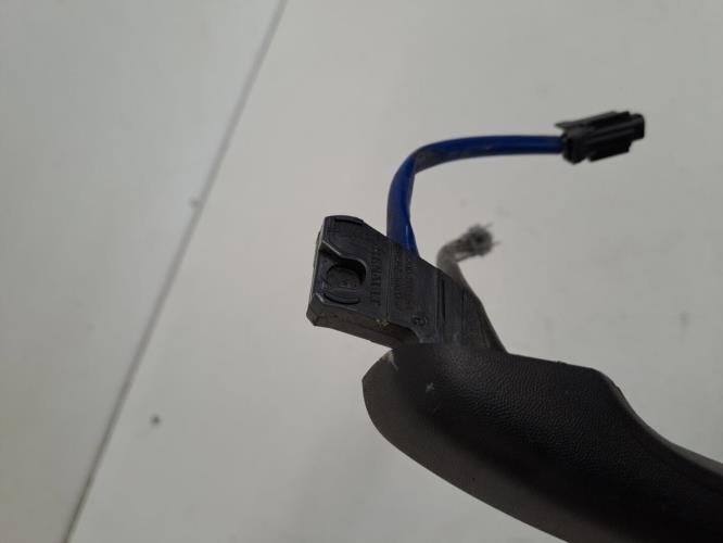 Image Poignee porte avant gauche - RENAULT MASTER III
