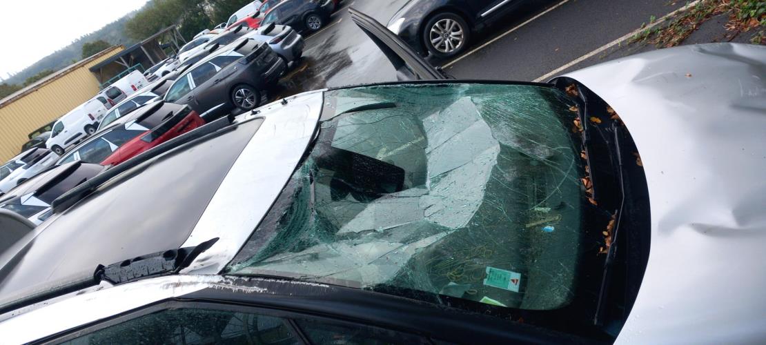 Image Cremaillere assistee - CITROEN C3 AIRCROSS