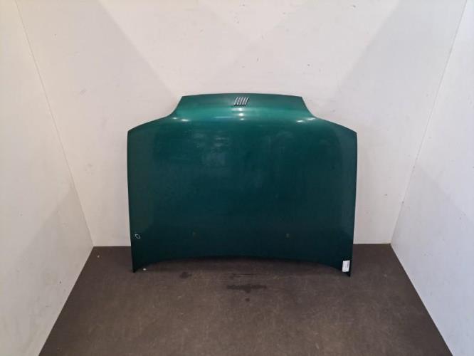 Image Capot - FIAT PUNTO 1