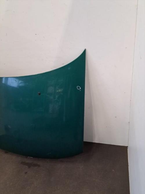 Image Capot - FIAT PUNTO 1