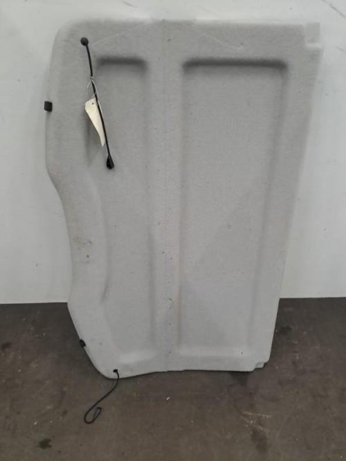 Image Plage arriere - RENAULT SCENIC 3
