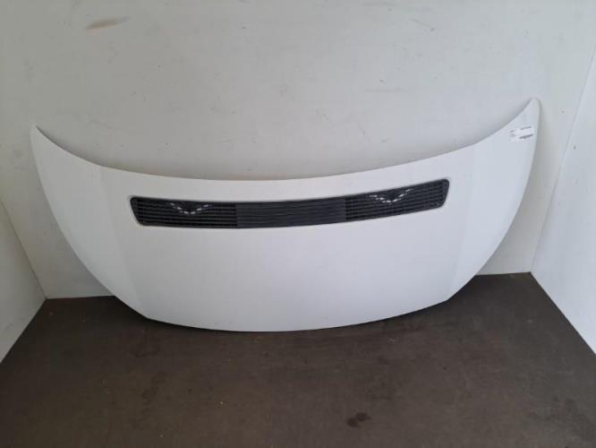 Image Capot - FIAT SCUDO 2
