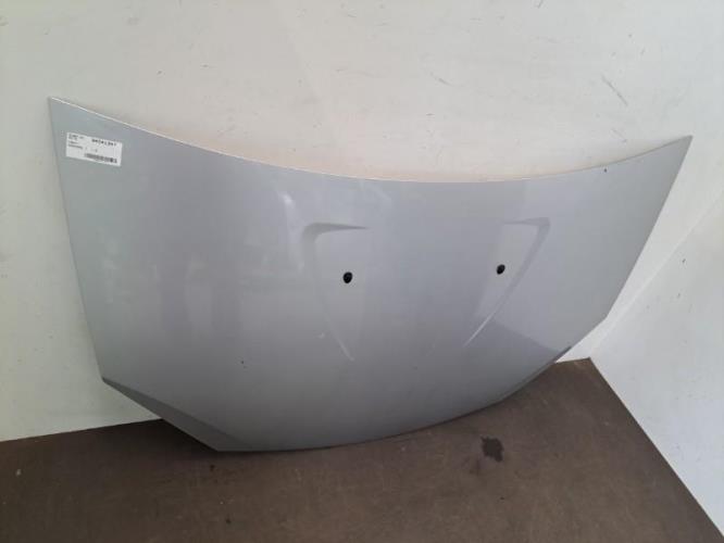 Image Capot - DACIA SANDERO 1