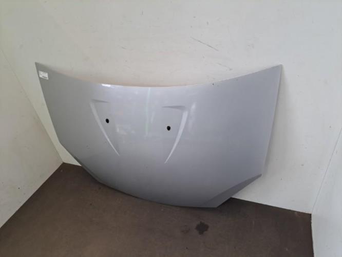 Image Capot - DACIA SANDERO 1