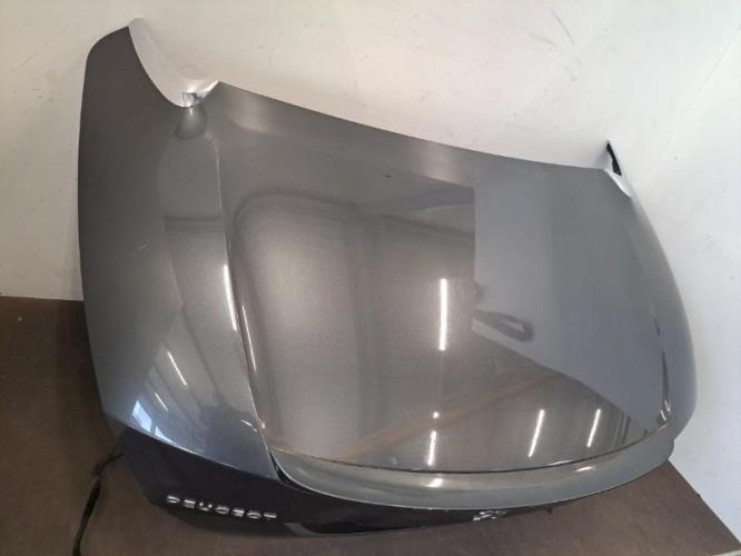 Image Malle/Hayon arriere - PEUGEOT 308 1