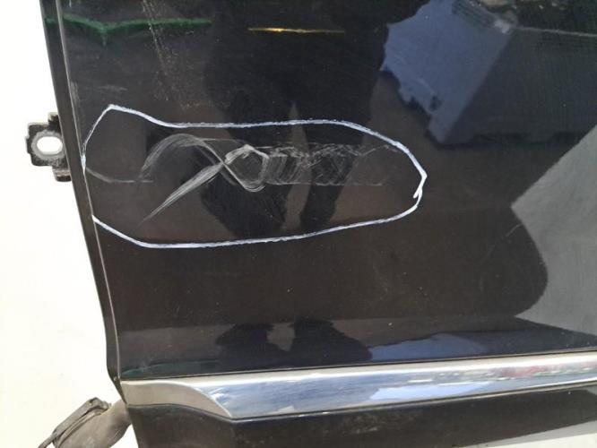 Image Porte arriere gauche - RENAULT MEGANE 3