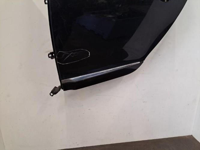 Image Porte arriere gauche - RENAULT MEGANE 3