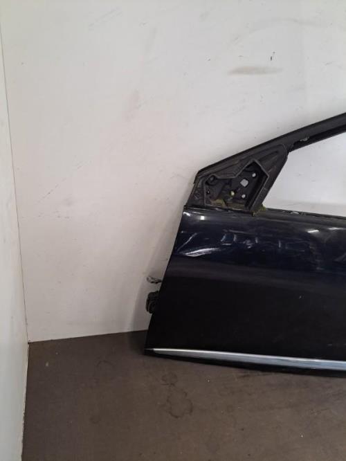 Image Porte avant gauche - RENAULT MEGANE 3