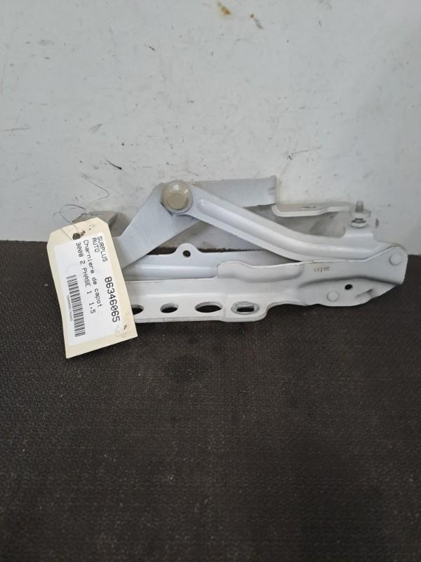 Charniere de capot PEUGEOT 3008 2 PHASE 1 Diesel - 1