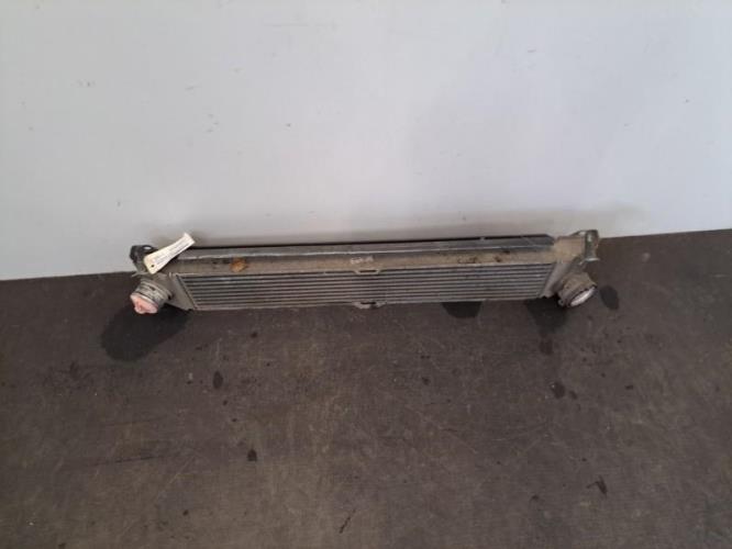 Image Echangeur air (Intercooler) - PEUGEOT BOXER 3