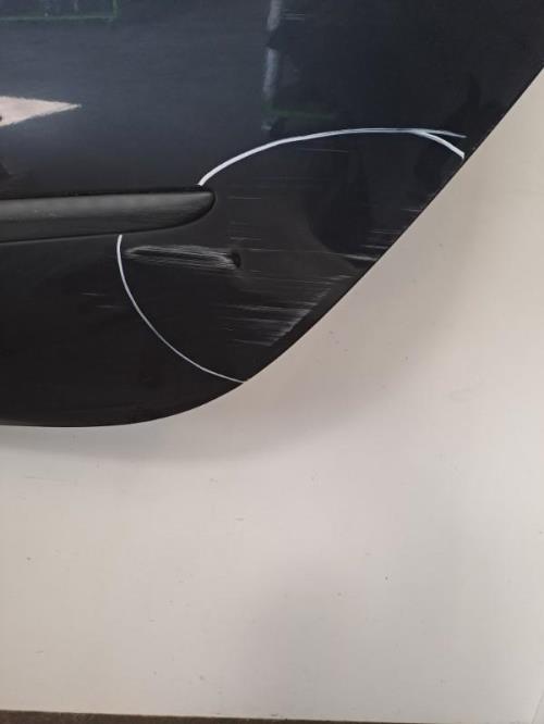 Image Porte arriere gauche - RENAULT CLIO 3