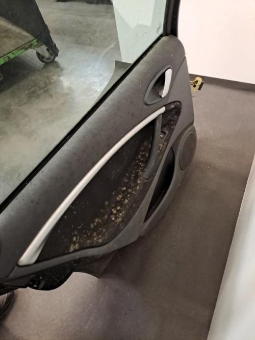 Image Porte arriere gauche - CITROEN C5 1