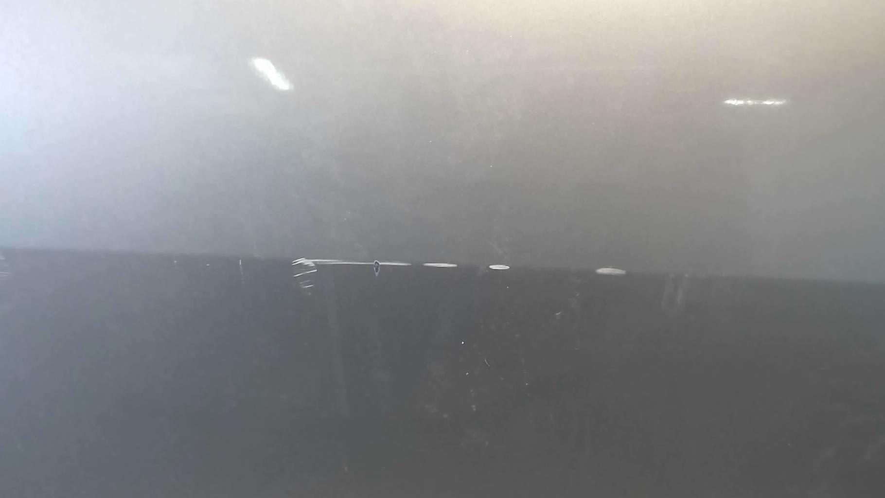 Porte arriere gauche RENAULT SCENIC 2 PHASE 2 Diesel - 1