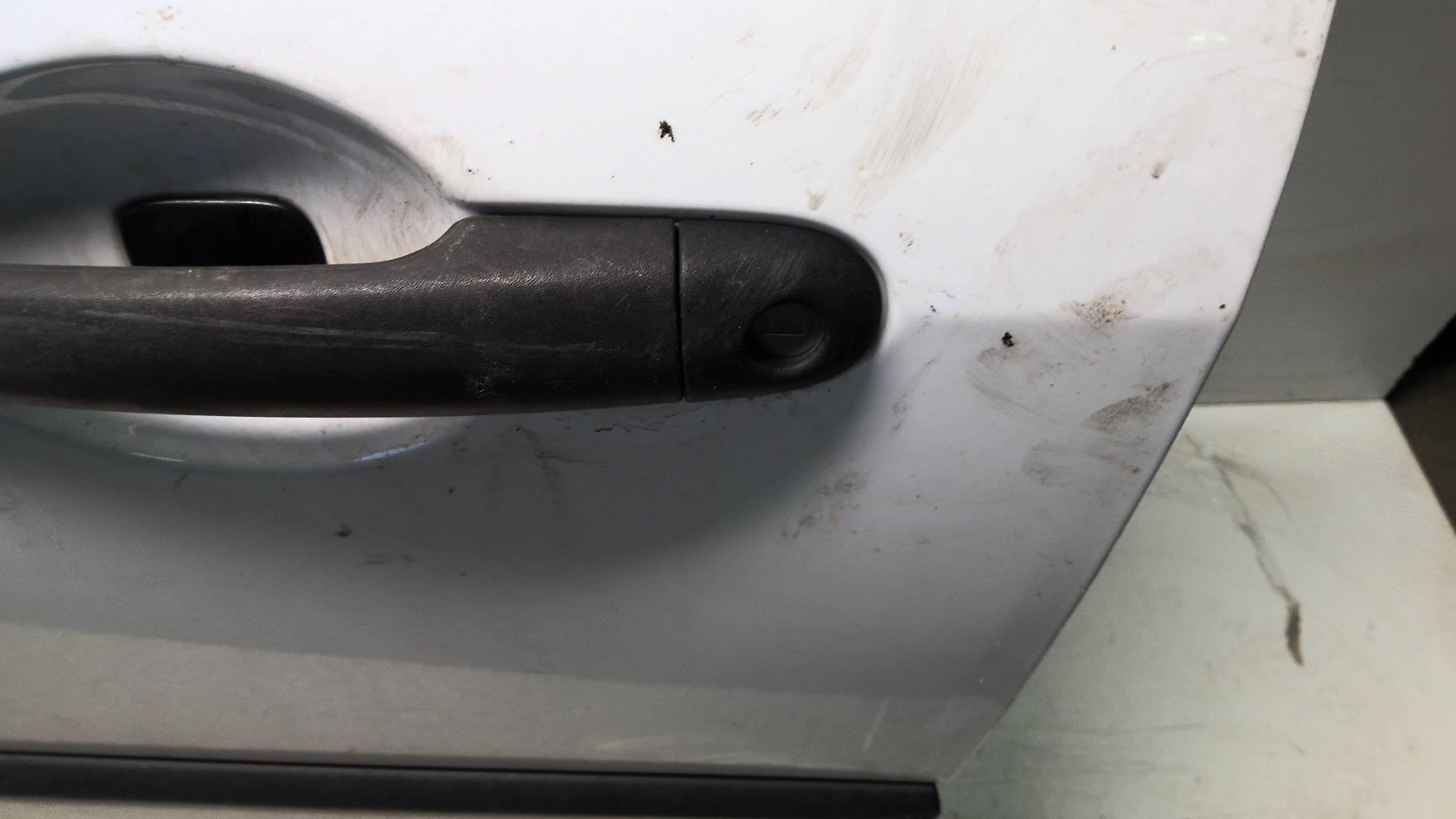 Porte avant gauche RENAULT CLIO 3 PHASE 2 Diesel - 1