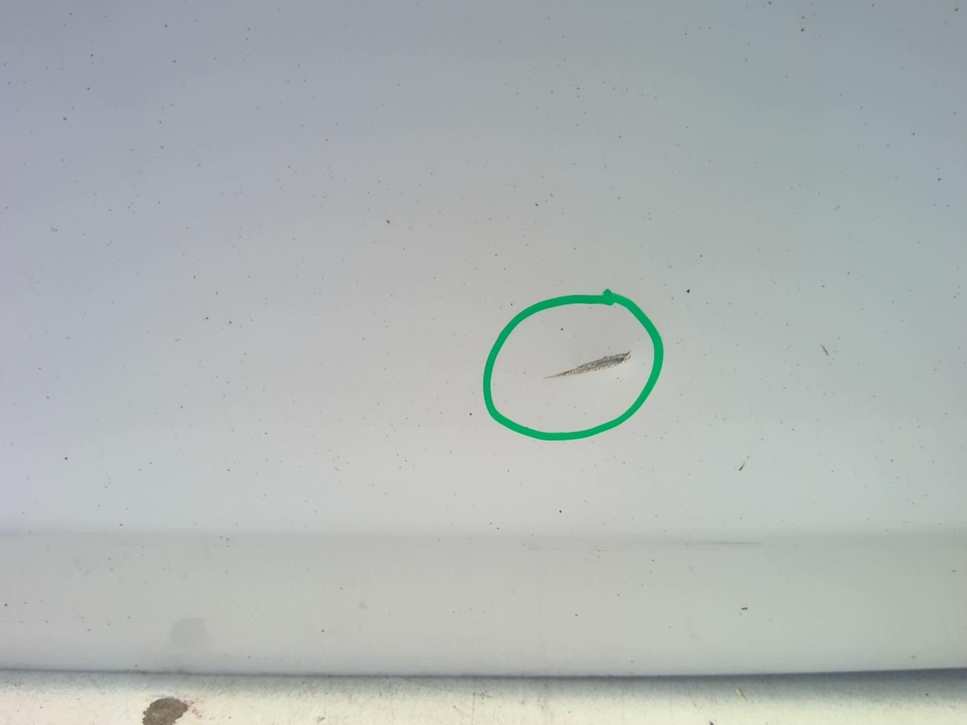 Porte avant droit BMW SERIE 1 E87 PHASE 2 Essence - 1