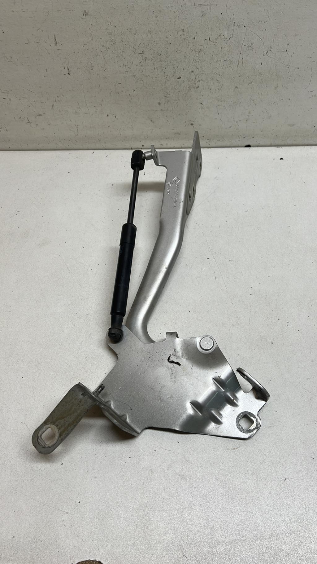 Charniere de capot RENAULT SCENIC 3 PHASE 2 Diesel - 1