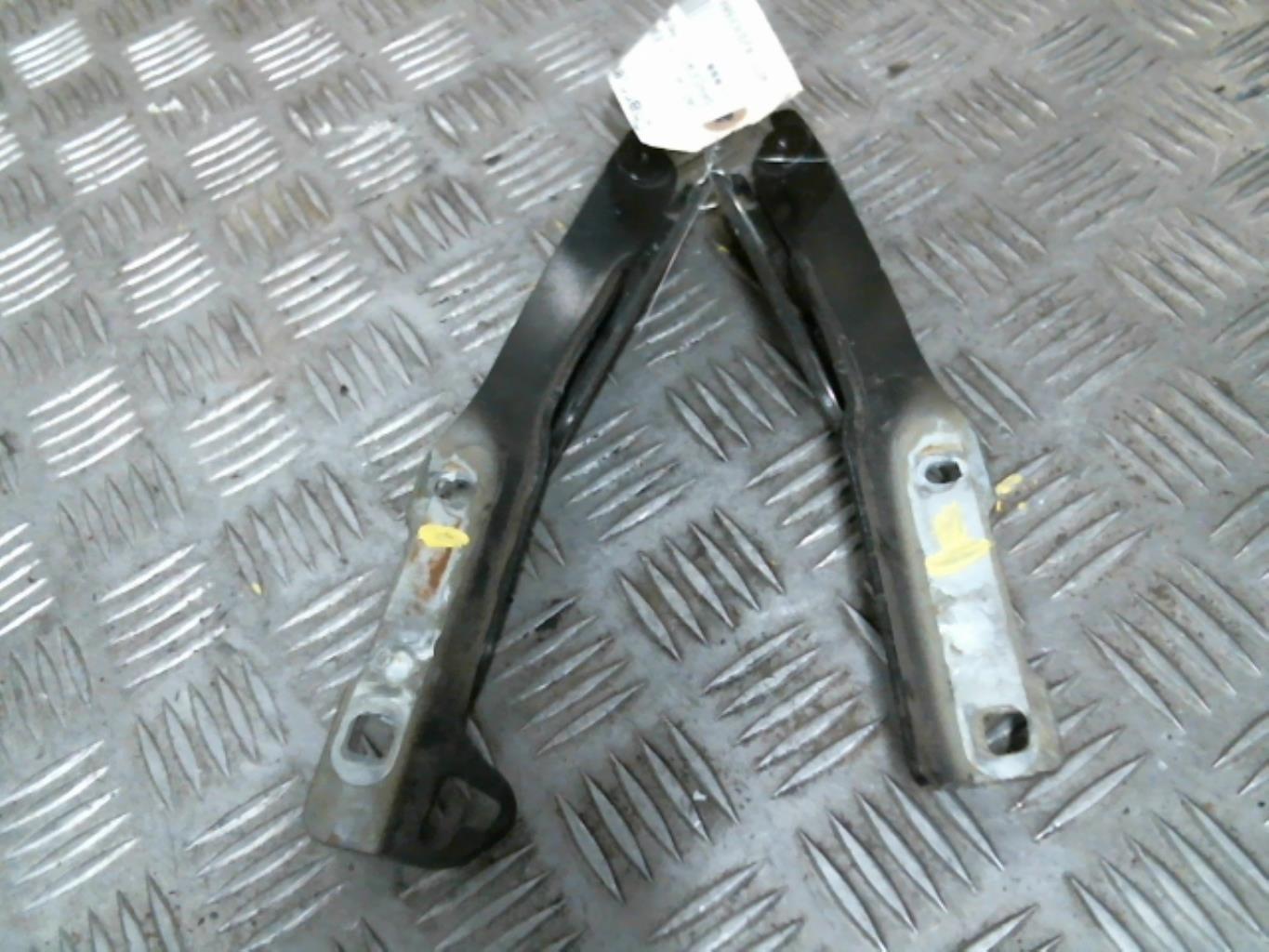 Cerniera cofano DACIA SANDERO 1 Diésel - 1
